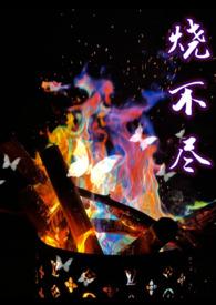烧不尽完整版番外