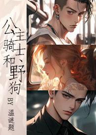 公主和骑士故事