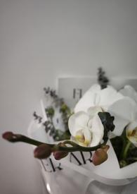 我的未婚妻有点呆萌