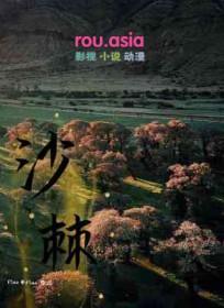 沙棘干乳剂的功效作用与主治