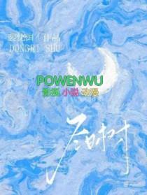 冬日树林图片大全