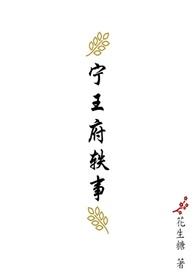 宁王府轶事男主角是谁