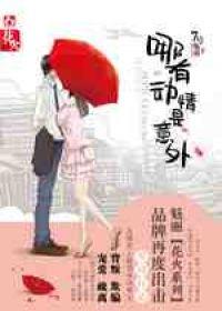 哪有动情是意外宋子休苏又清