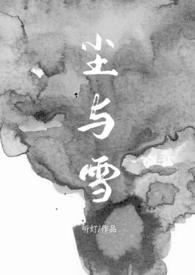 尘与雪海报