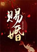 王妃她又跑了免费阅读
