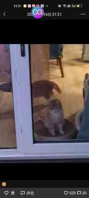 好友曝何晴曾中风过