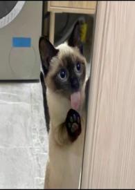 慢慢喜欢你水迹