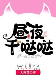 昼夜什么意思?