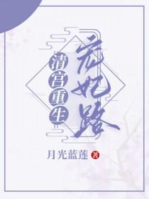 清宫宠妃番外前世今生
