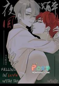 南风沉醉的夜晚