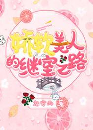 娇软美人的结局是什么