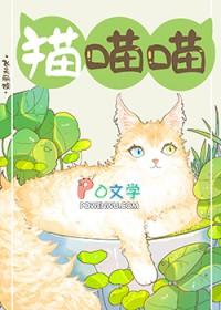 捡到流浪猫后该怎么办