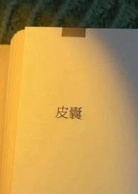 皮囊全文免费阅读