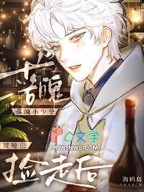 落魄小少爷被哑巴捡走后作者本书海