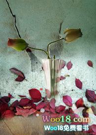 养父电视剧演员表