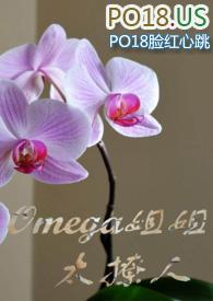 omega姐姐太撩人箫韵书