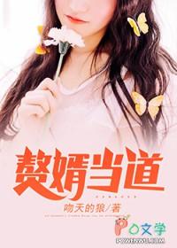 赘婿当道一