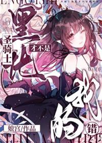 黑化圣骑士肉车