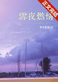 雪夜的
