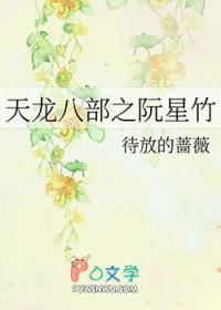 天龙八部阮星竹角色分析