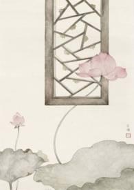 愿我如星君如月h文