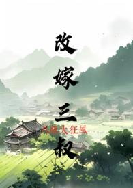 嫁三叔在线阅读