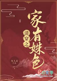 清穿之有妃陆氏修正版