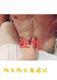 陈生陈太离婚记txt