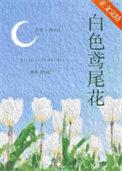 白色鸢尾花话语