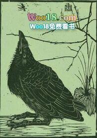 空壳公司合法吗