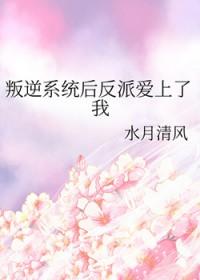 反叛系统孙悟空