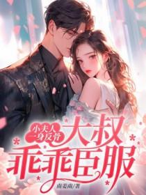 大叔乖乖臣服讲的什么