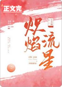 炽焰流星讲的什么