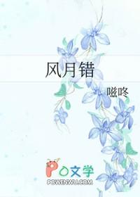 风月错歌曲