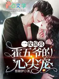 一夜惊喜顾少霍念念