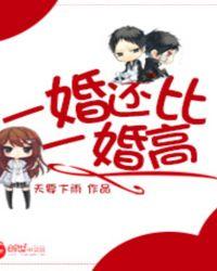 一婚还比一婚高免费阅读全文