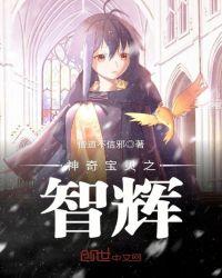 神奇宝贝之智辉好看吗