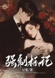 强制标记(男A女o)作者豆浆