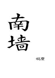 南墙作者知安全文