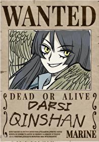 海贼王原创男主同人文