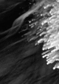 夜宠金晶免费阅读