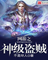 网游之盗神