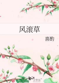 风滚草的坚持阅读理解答案