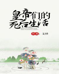 皇帝们的死后生活txt