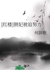 侧妃是不是妾