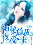 神秘总裁夜夜宠免费版鱼不语