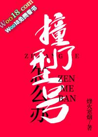 撞了型号怎么办资源