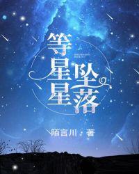 等星星坠落txt链接