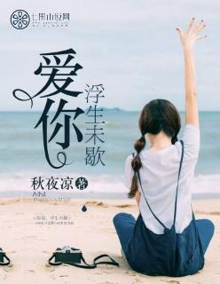 浮生未歇歌词含义