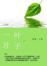 一片叶子今天最新晒票
